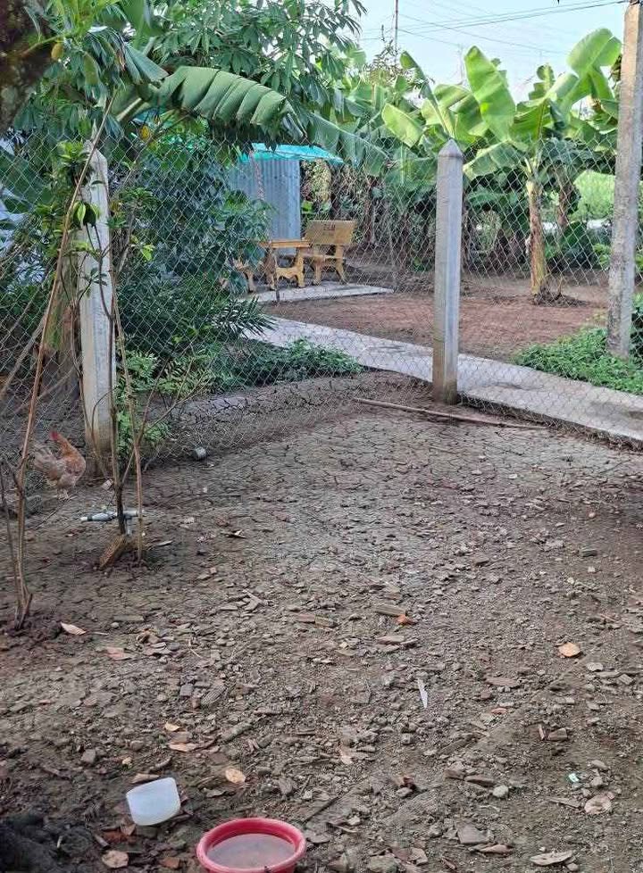 Nhà mặt tiền đường nhựa 300m² tại Gò Công Đông, Tiền Giang - Giá chỉ 1.35 tỷ