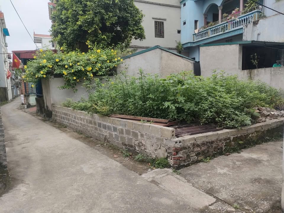 Đất lô góc 2 mặt tiền Quất Lâm, Thường Tín 50m² giá 3 tỷ - Đầu tư sinh lời ngay!