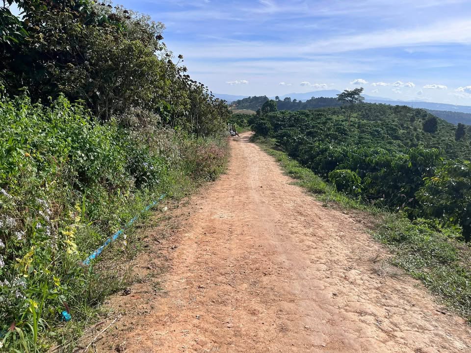 Đất nông nghiệp Đinh Văn 12,791m² giá 2 tỷ - Đầu tư sinh lời ngay!