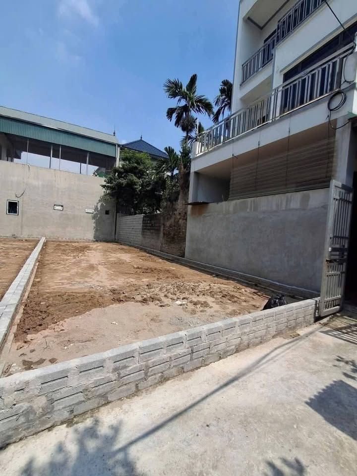 Đất Nỏ Bạn - Hồng Vân, Thường Tín 88m² giá chỉ 50 triệu - Đầu tư sinh lời ngay!