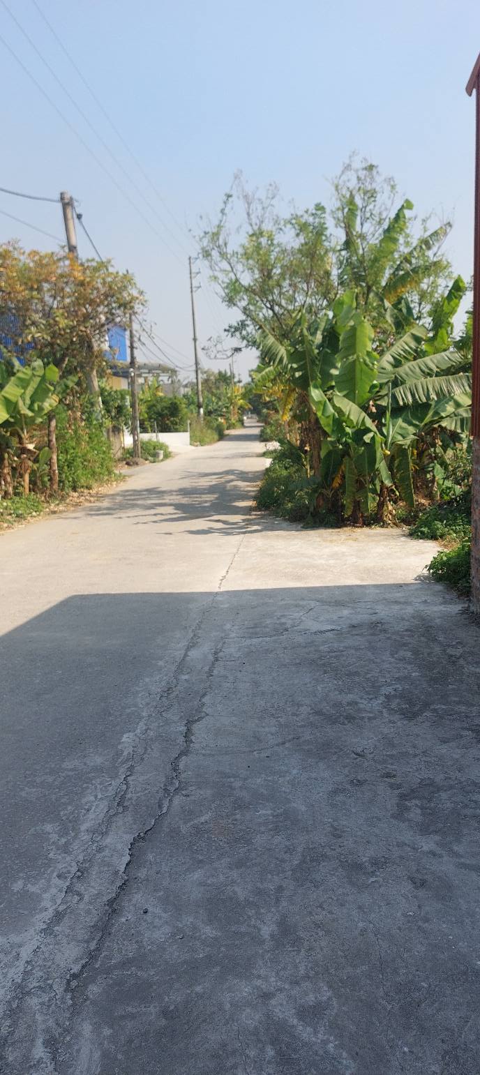 Đất thổ cư 315m² phường Hồng Quang, Ý Yên - Đường thông, giá chỉ 13 triệu/m²!