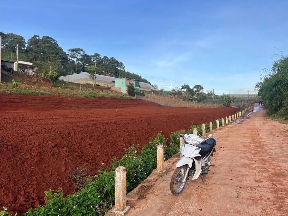 Đất nền xã Quảng Lập, Đơn Dương 72m² chỉ 300 triệu - Cơ hội đầu tư hiếm có!