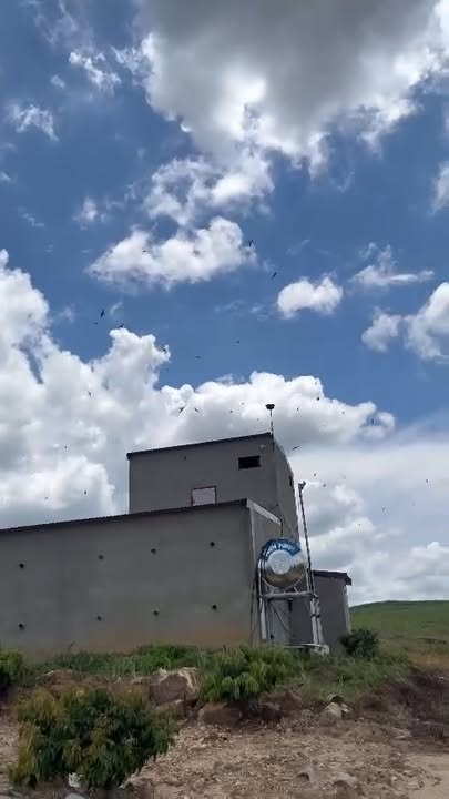 Nhà yến 1000m² tại thôn 4, xã Ea Sô, giá 1 tỷ - Tiềm năng sinh lời cao!