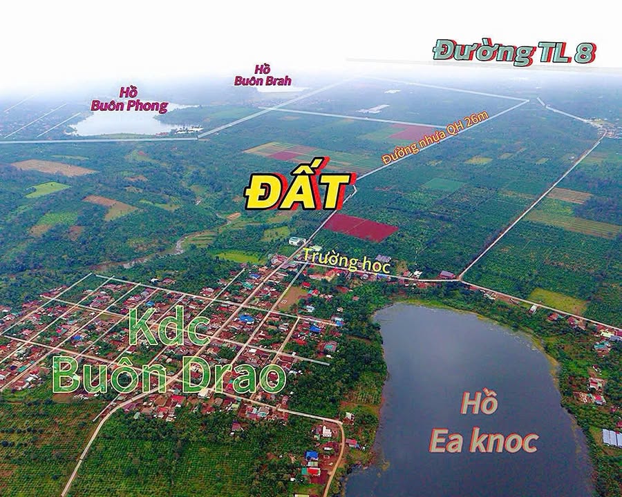 Đất mặt tiền nhựa Cư Dliê Mnông 590m² giá chỉ 349 triệu - Tiềm năng đầu tư lớn!