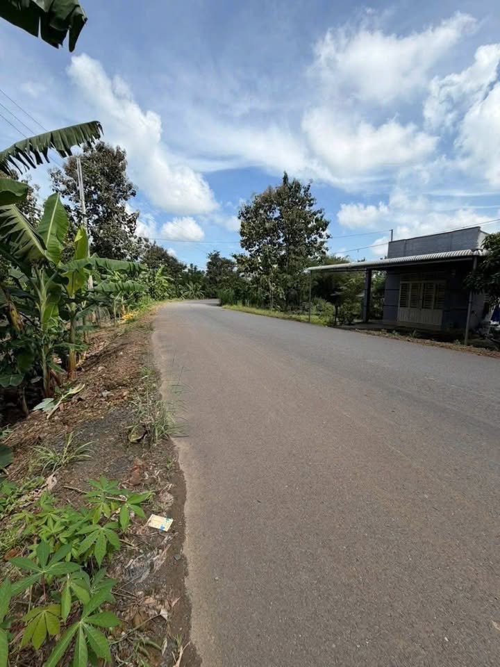 Đất nền Phú Vinh - Định Quán 1000m² giá 650 triệu - Mặt tiền đường nhựa thuận lợi!