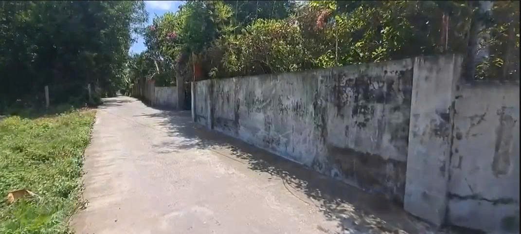 Nhà cho thuê kiệt Phú Mỹ, Hòa Phong, Hòa Vang 1000m² - Giá chỉ 5 triệu/tháng!