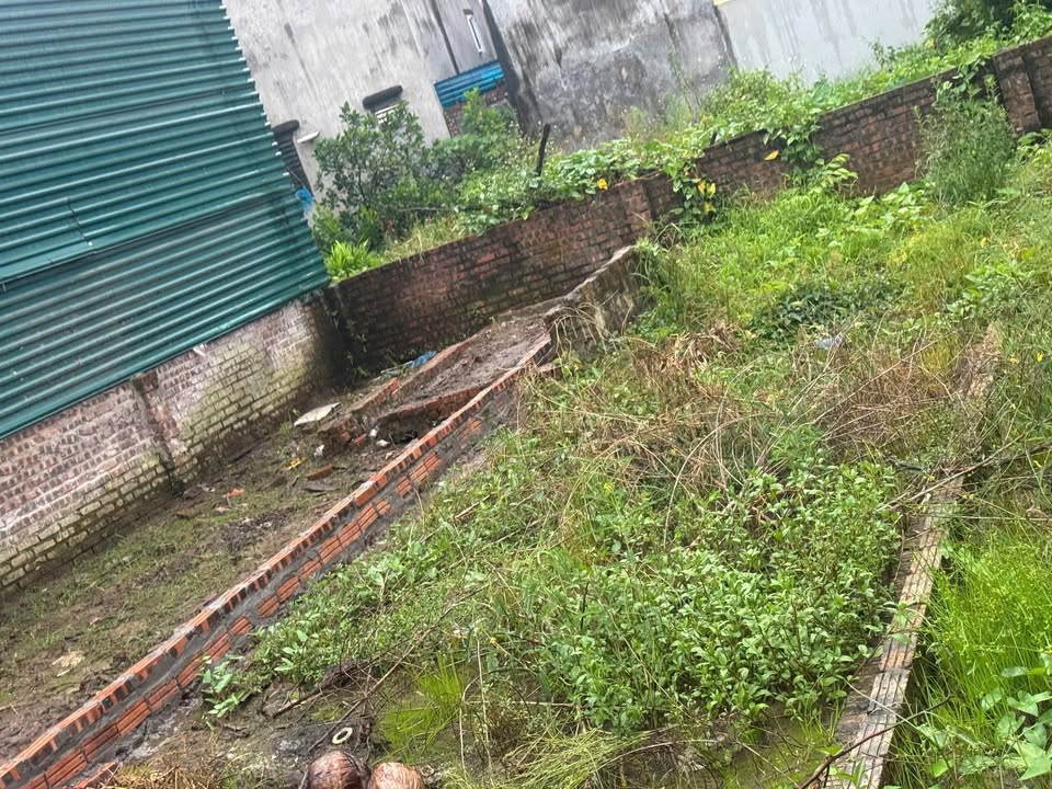 Đất Phúc Lợi Long Biên 39m² giá 5 tỷ - Cơ hội đầu tư hiếm có!