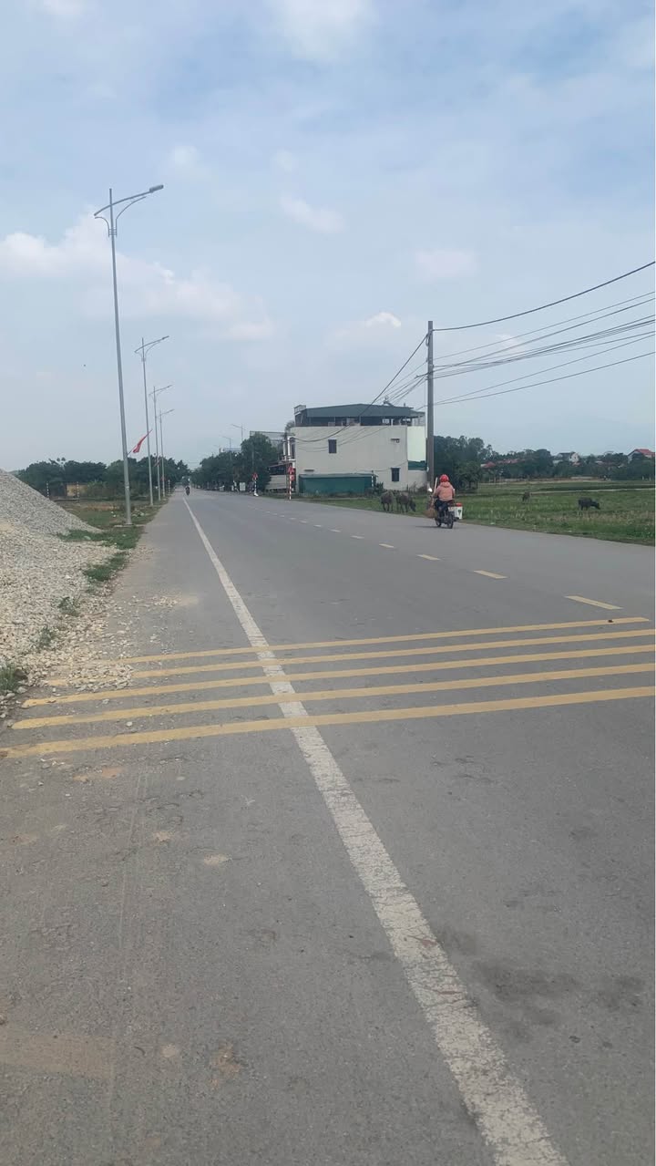 Đất đấu giá Duy Phiên, Tam Dương 306m² - Giá đẹp cho nhà đầu tư