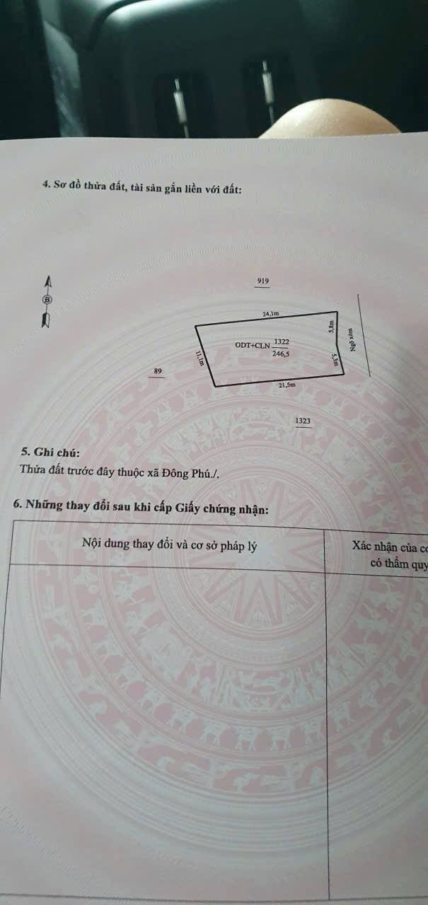 Đất nền xã Đông Phú 246m² giá 2.05 tỷ - Vị trí đắc địa, tiềm năng cao!