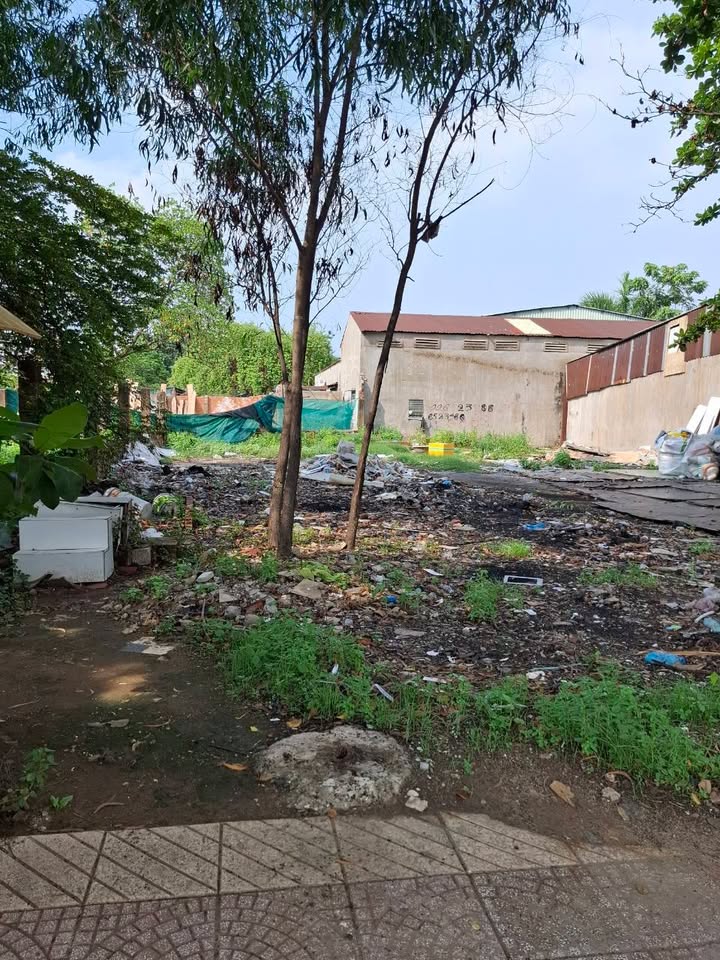 Đất mặt tiền đường Đồng Văn Cống, Thủ Đức 292m² - Vị trí kinh doanh đắc địa!