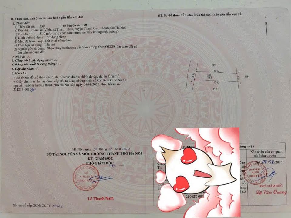 Đất nền Tam Hưng, Thanh Oai 53m² giá 3 tỷ - Khu vực phát triển mạnh mẽ!