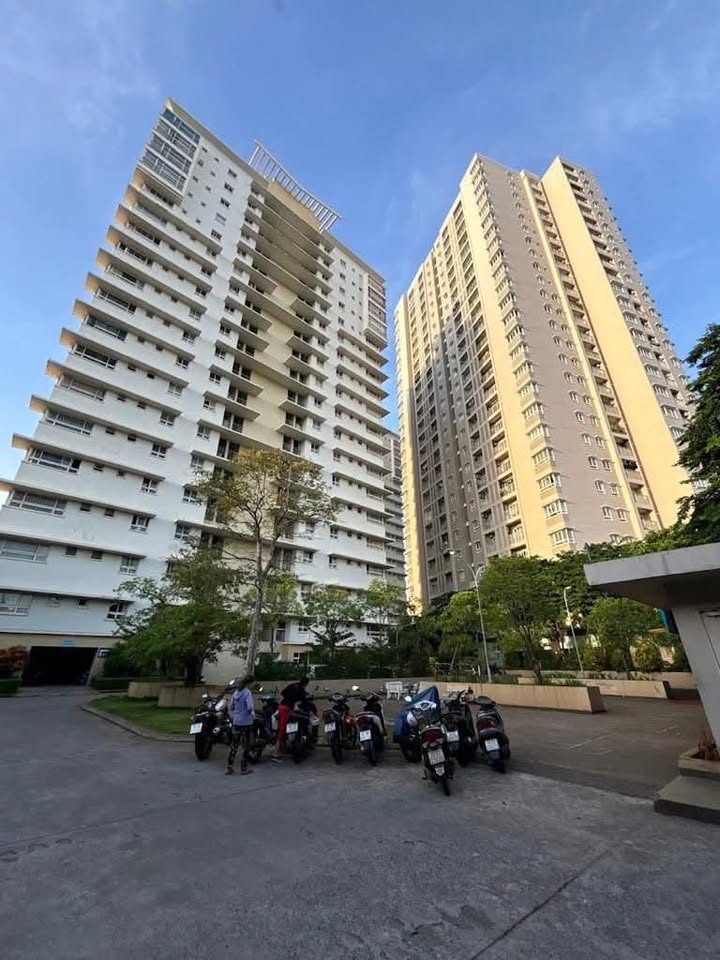 Căn hộ An Phú Quận 6 50m² giá 2.95 tỷ - Full nội thất xịn!