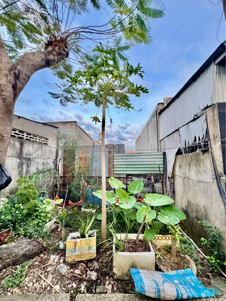 Đất nền Trảng Dài, Biên Hòa 105m² giá 1.39 tỷ - Sổ hồng riêng, vị trí đẹp!