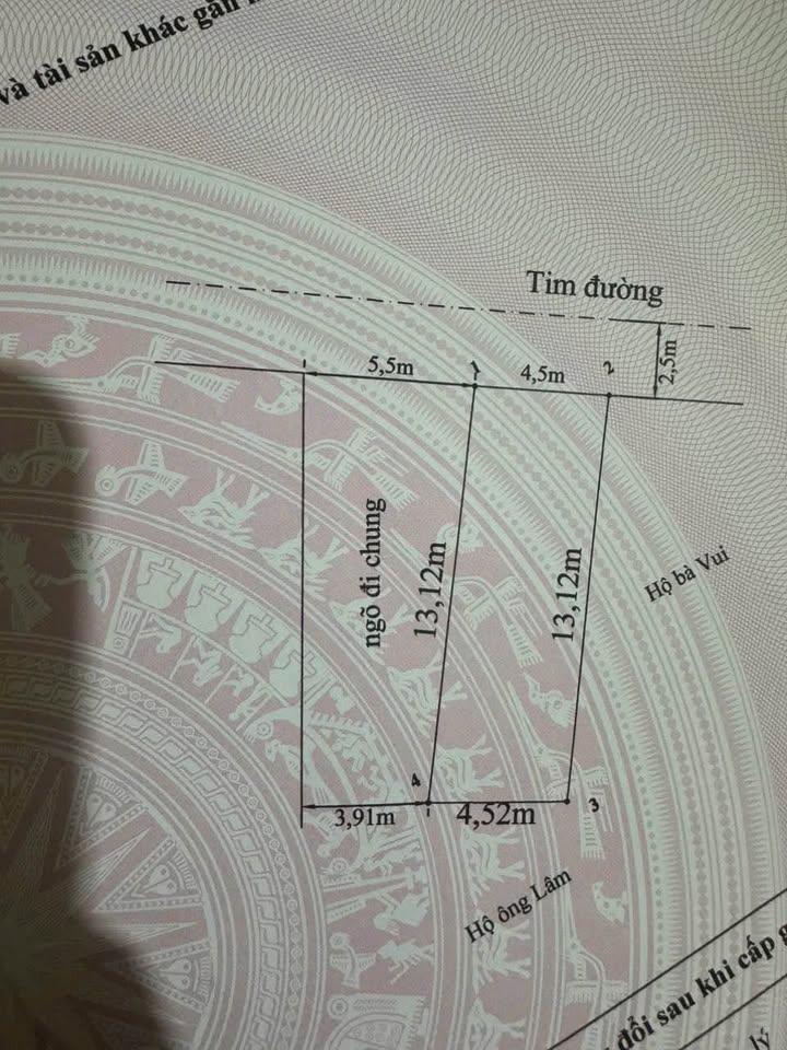 Đất nền lô góc 59m² đường Tân Vũ 2, Hải Phòng - Vị trí đắc địa, đầu tư sinh lời!