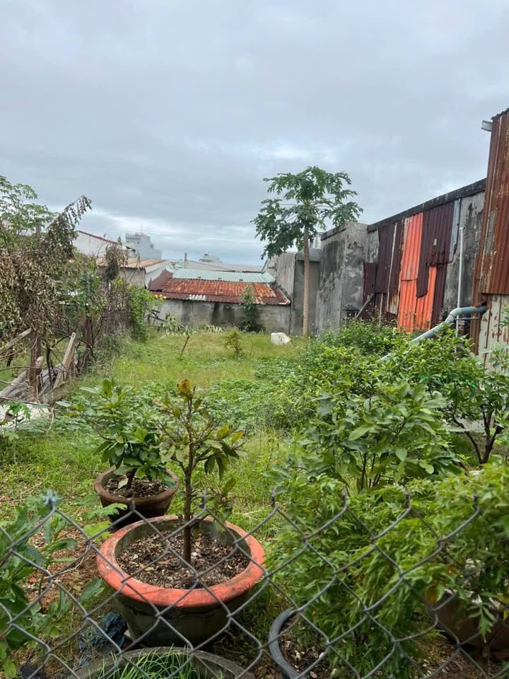 Đất nền 186 kiệt Phạm Như Xương, 86m² giá 2 tỷ - Cơ hội đầu tư tốt!