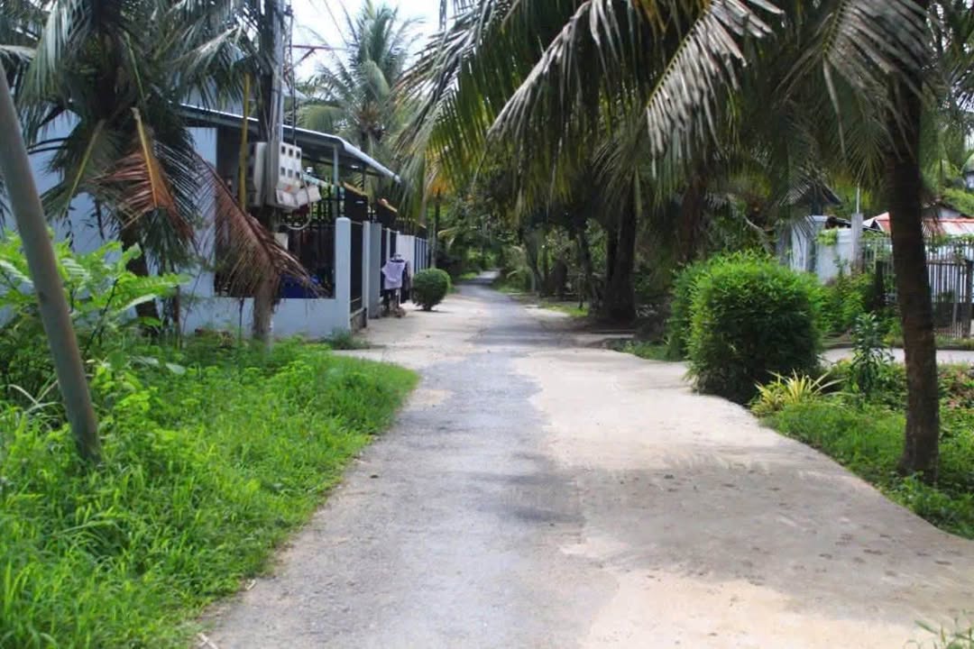 Đất Phú Tân Bến Tre 1980m² giá 1.95 tỷ - Cơ hội đầu tư hấp dẫn!