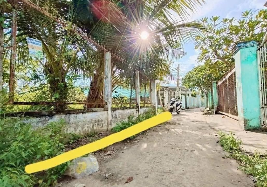 Đất nền Sơn Đông Bến Tre 100m² chỉ 720 triệu - Sổ đỏ chính chủ, giao thông thuận lợi!