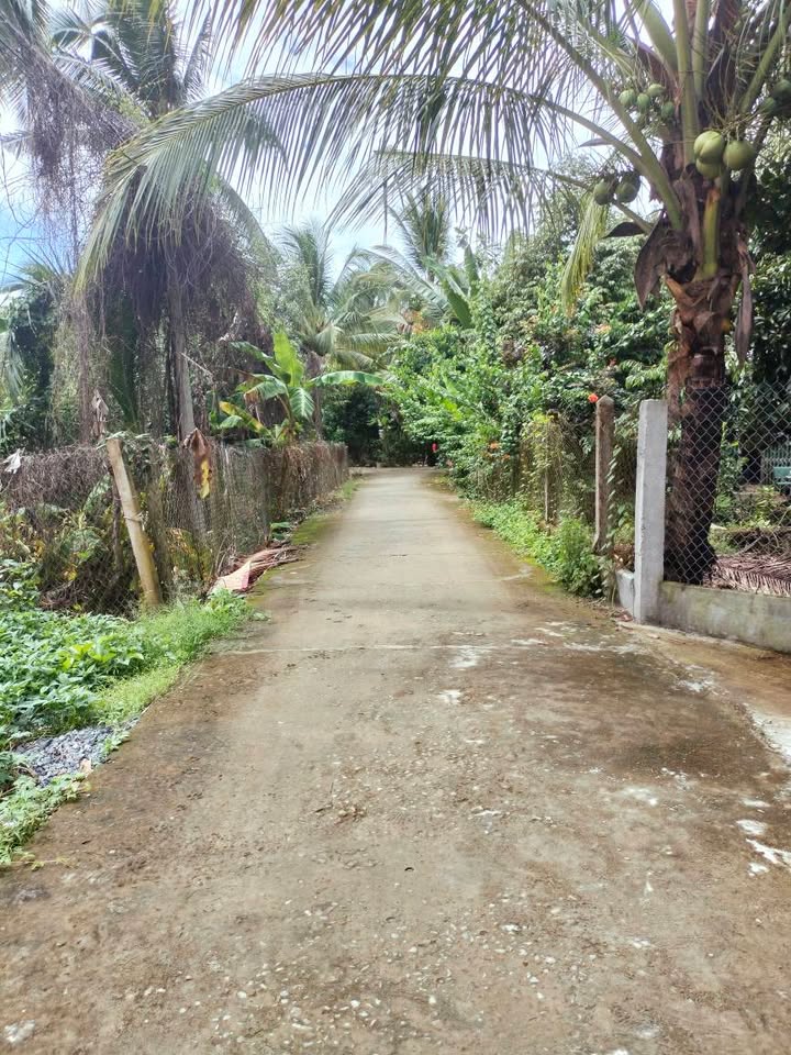 Nhà bán tại Tân Phú, Châu Thành, Bến Tre 122m² giá 595 triệu - Pháp lý rõ ràng!