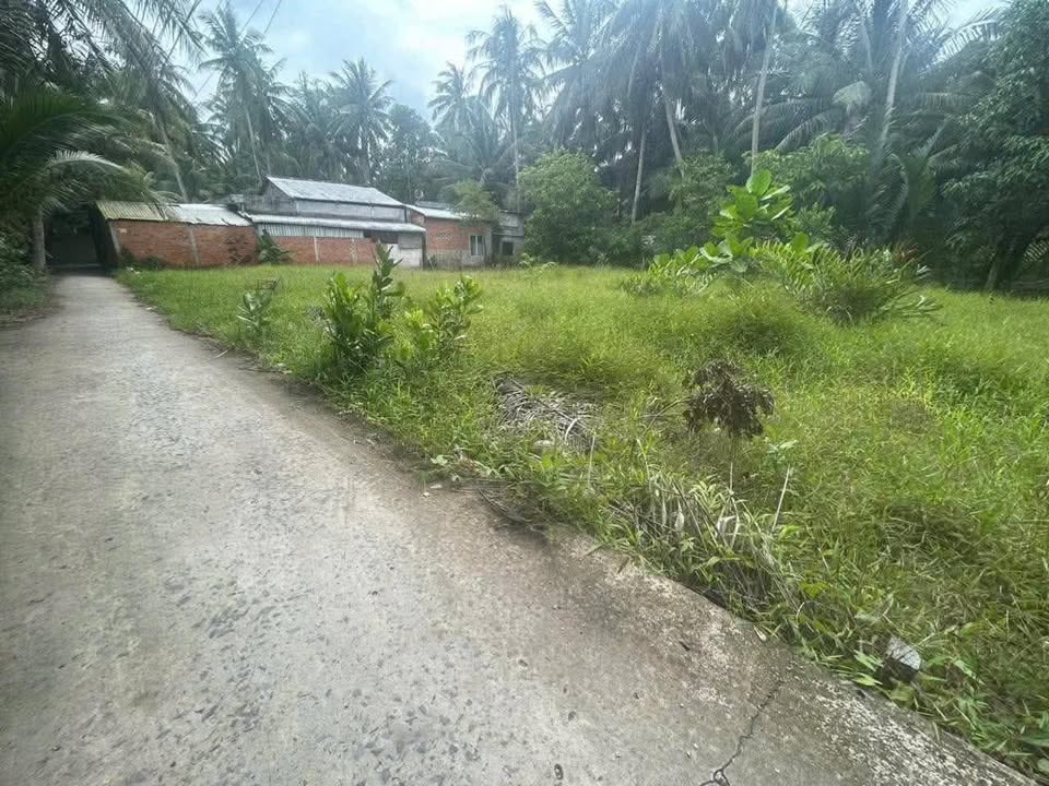 Đất nền Tân Bình Mỏ Cày Bắc 160m² giá chỉ 299 triệu - Sổ đỏ chính chủ sẵn sàng chuyển nhượng!