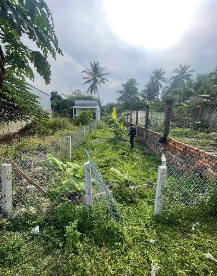 Đất nền mặt tiền Đường ĐX-01, Hữu Định, Châu Thành, Bến Tre, 161m² giá 850 triệu - Tiềm năng đầu tư hấp dẫn!