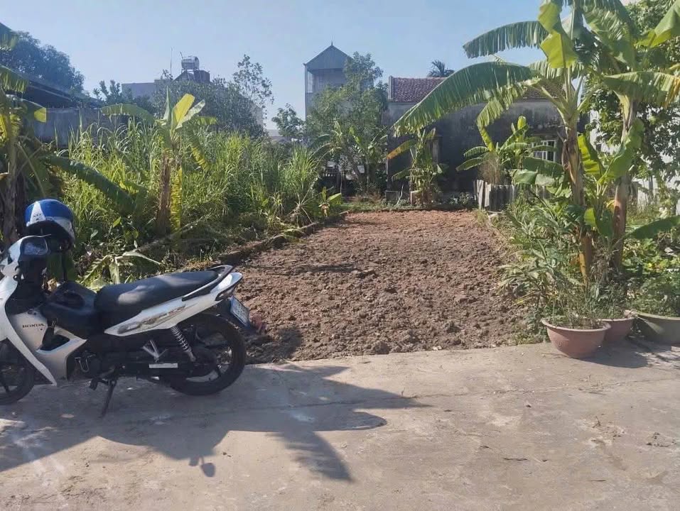 Đất nền Quang Tiến, Sóc Sơn 86m² - Cơ hội đầu tư hấp dẫn!