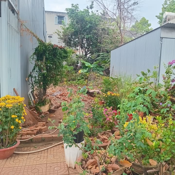 Đất tái định cư Suối Chồn Long Khánh 97.5m² giá 2.3 tỷ - Xây dựng tự do ngay!