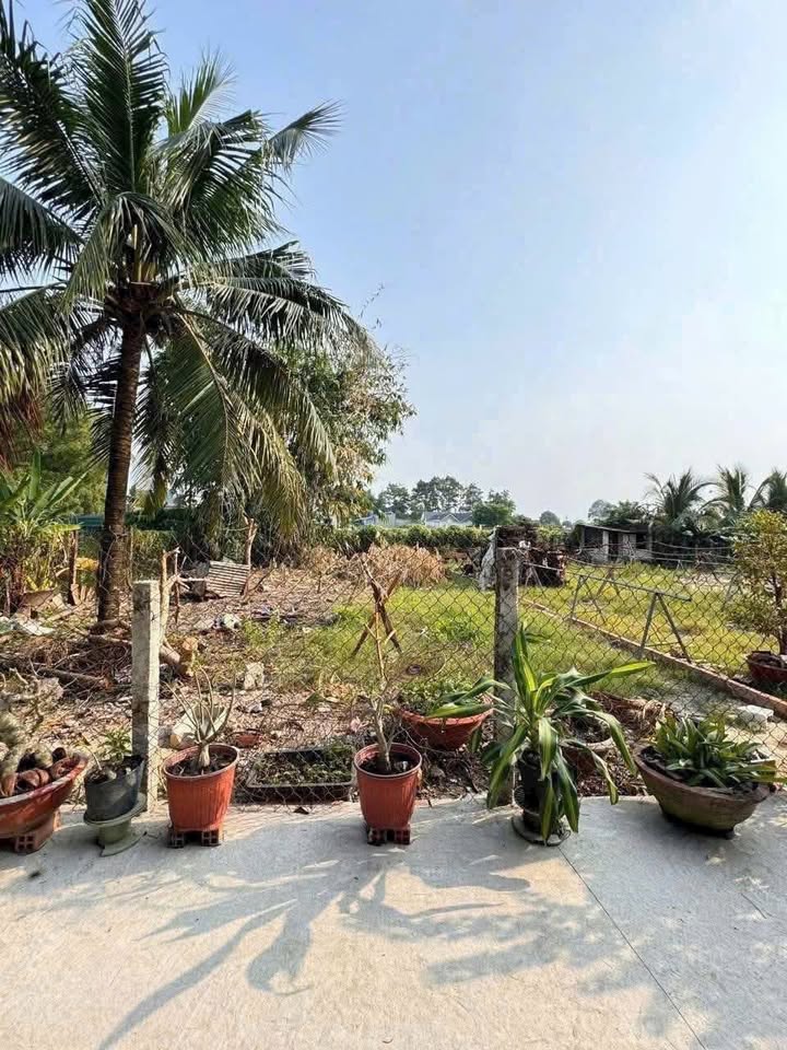 Đất thổ cư Tân Hiệp Hóc Môn 114m² giá 3 tỷ - Xây dựng tự do, tiện ích đầy đủ!