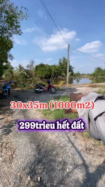 Đất nền Ấp Phước Hội, Tây Ninh 1080m² giá 299 triệu - Sổ hồng chính chủ!