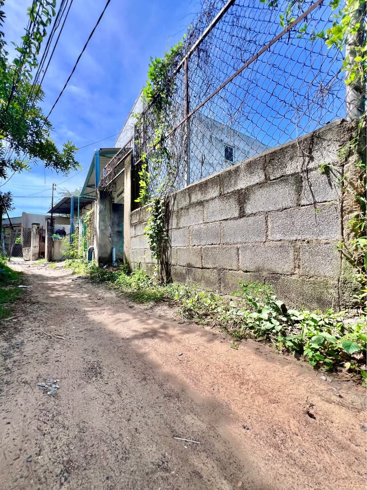 Đất thổ cư 50m² phường Xuân An 131m² giá 850 triệu - Sổ hồng riêng, rào ranh rõ ràng!