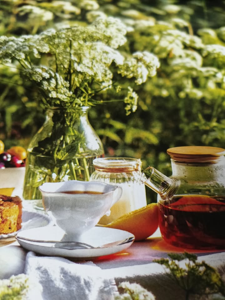 Nhà Mặt Ngõ Cát Khê Tràng Cát 45m² giá 1.55 tỷ - Đón đầu dự án lớn tại Hải Phòng!