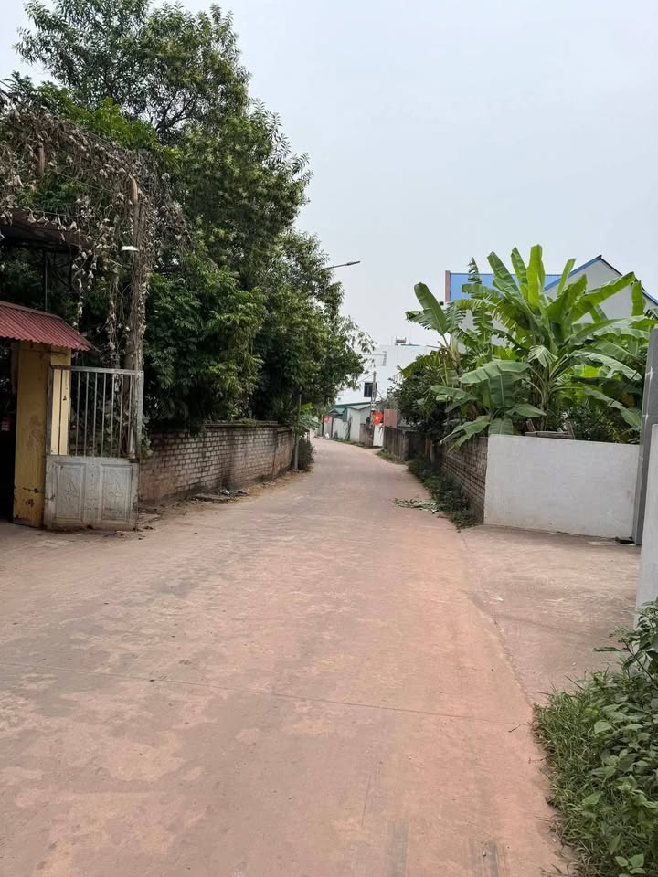 Đất nền thôn Đình, Xuân Hương 130m² giá 1.2 tỷ - Đầu tư sinh lời ngay!