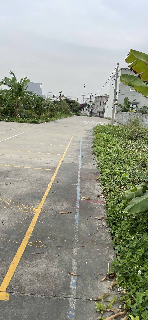 Đất nền Thái Sơn, An Lão 67.5m² giá 700 triệu - Cơ hội đầu tư hấp dẫn!