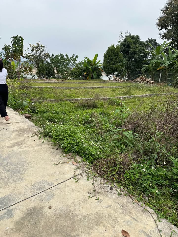 Đất nền An Khang Tuyên Quang 95m² chỉ 500 triệu - Vị trí đắc địa gần chợ