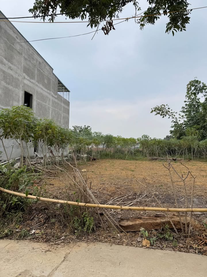 Đất thổ cư 260m² Lưỡng Vượng Tuyên Quang giá chỉ 2.4 tỷ - Cơ hội đầu tư hiếm có!