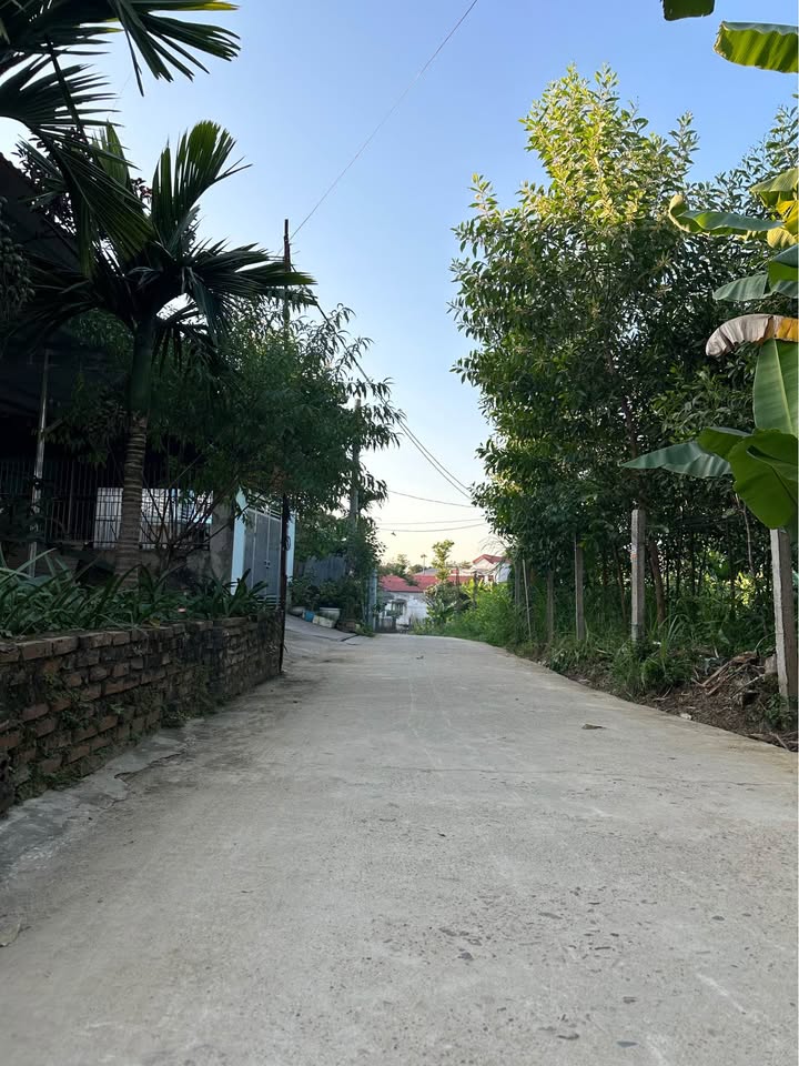 Đất thổ cư khu phố 4, phường Trung Môn, 155m² - Mặt tiền rộng, giá thỏa thuận!