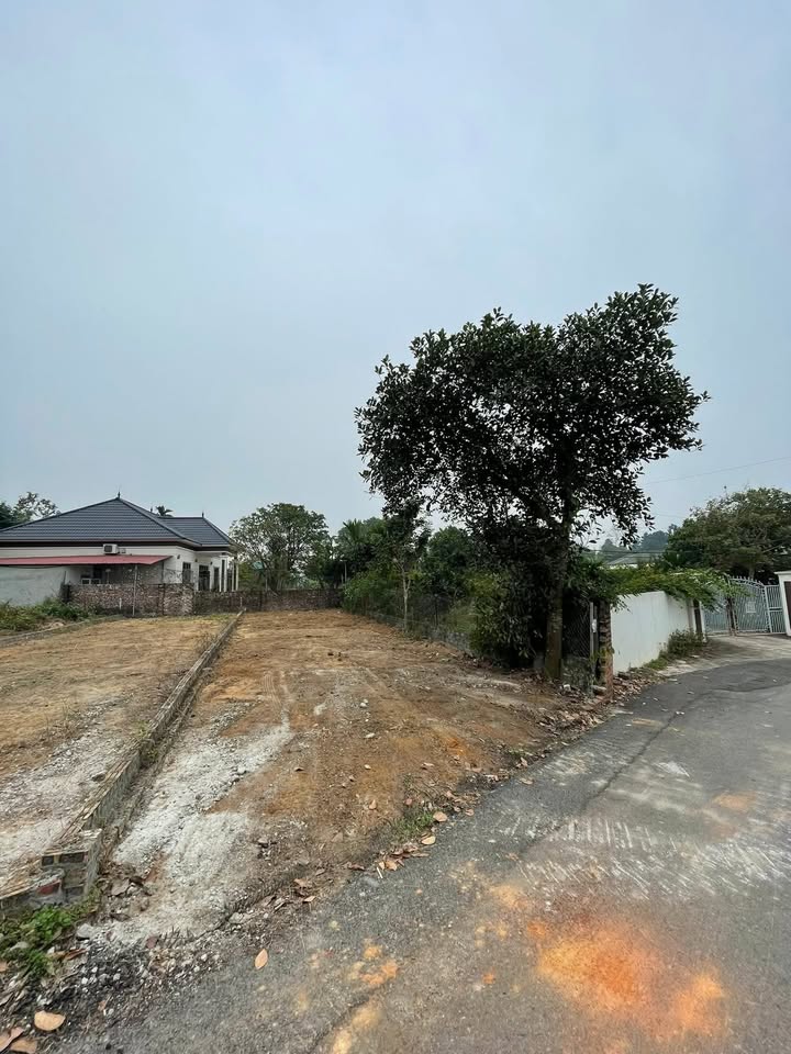 Đất nền 119m² tại Xuân Hòa, Phúc Yên - Giá chỉ 1.5 tỷ, cơ hội đầu tư tuyệt vời!