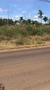 Đất nông nghiệp xã Nhân Đạo 60.000m² giá chỉ 2.7 tỷ - Cơ hội đầu tư hấp dẫn!