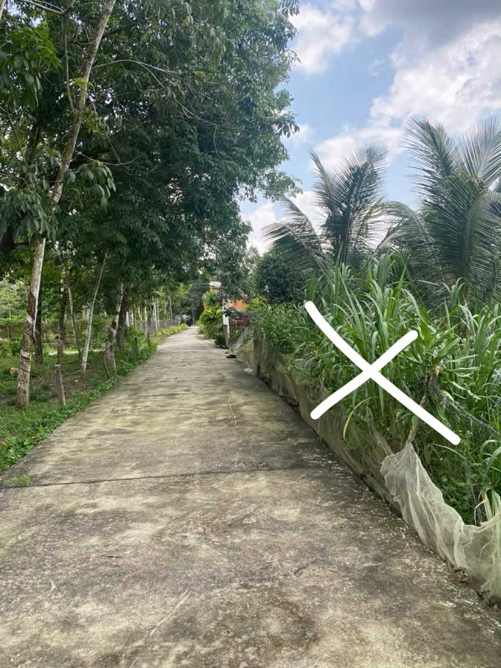 Đất nền xã Định Thành, huyện Dầu Tiếng, 360m² giá 700 triệu - Cơ hội đầu tư hấp dẫn!