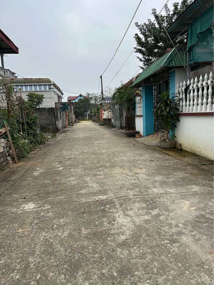 Đất phân lô 120m² tại Hoàng Văn Thụ, Chương Mỹ - Gần Trường Sỹ Quan Đặc Công!