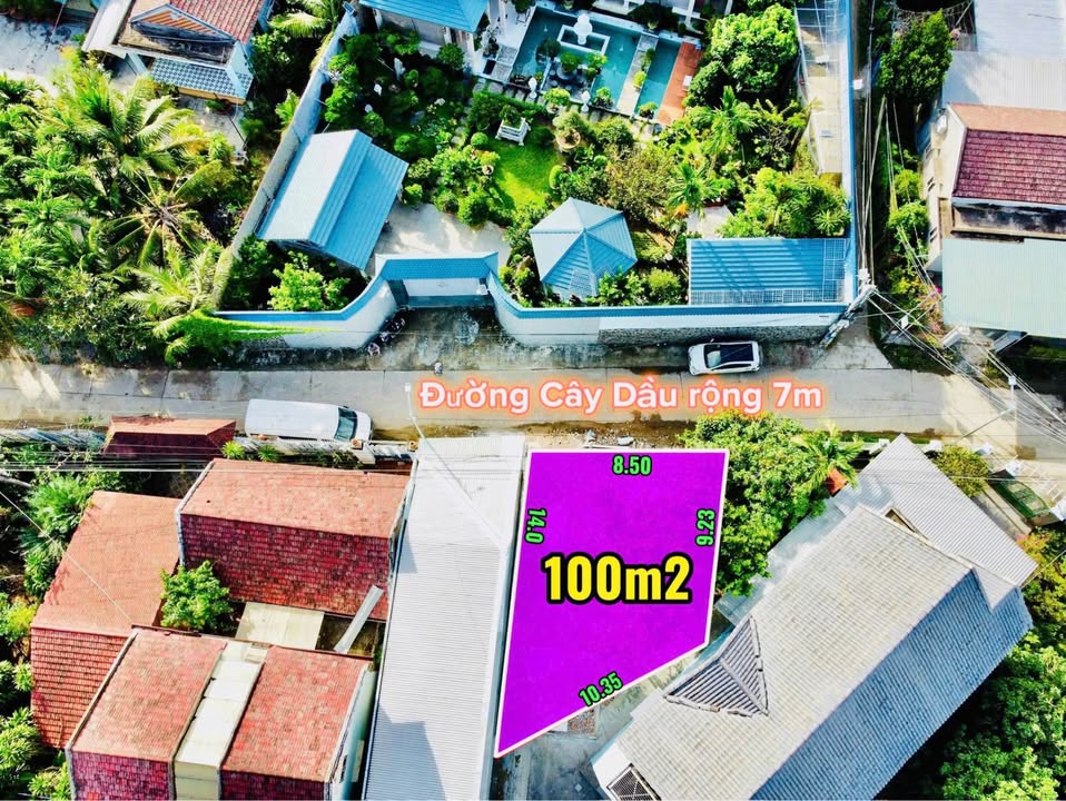 Đất thổ cư 100m² đường Cây Dầu, Diên An chỉ 1.899 tỷ - Cơ hội đầu tư tuyệt vời!
