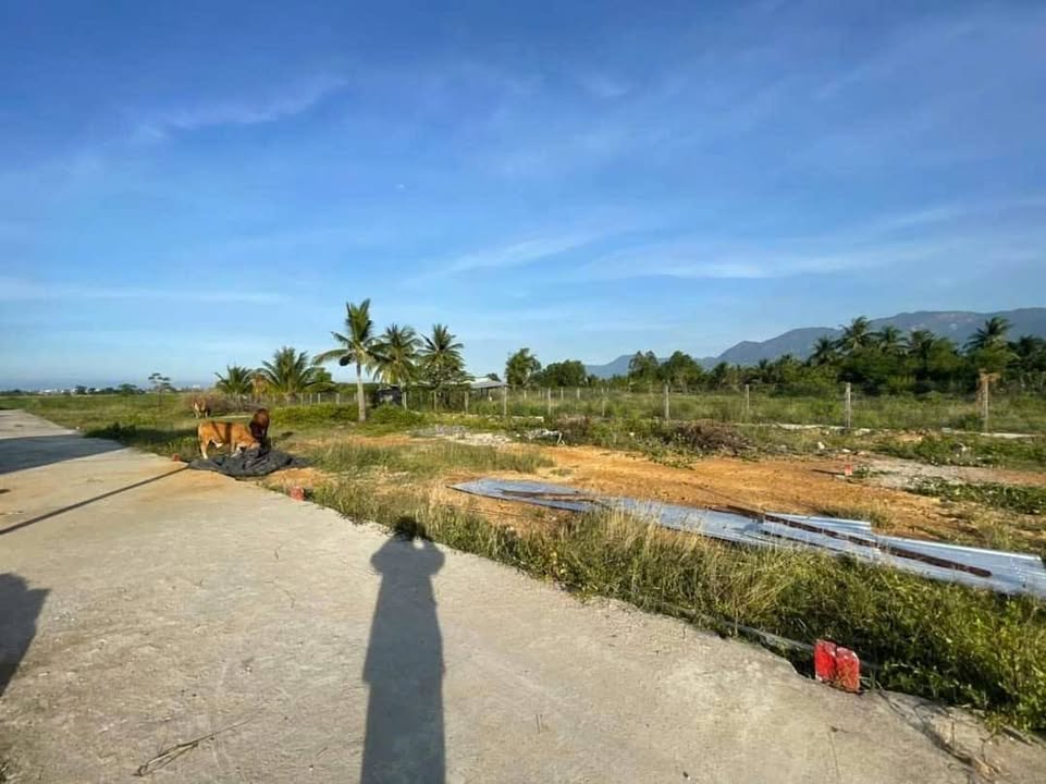 Lô đất Ninh Thọ, Ninh Hòa 75m² giá 300 triệu - Sổ hồng đầy đủ, ô tô vào tận nơi!