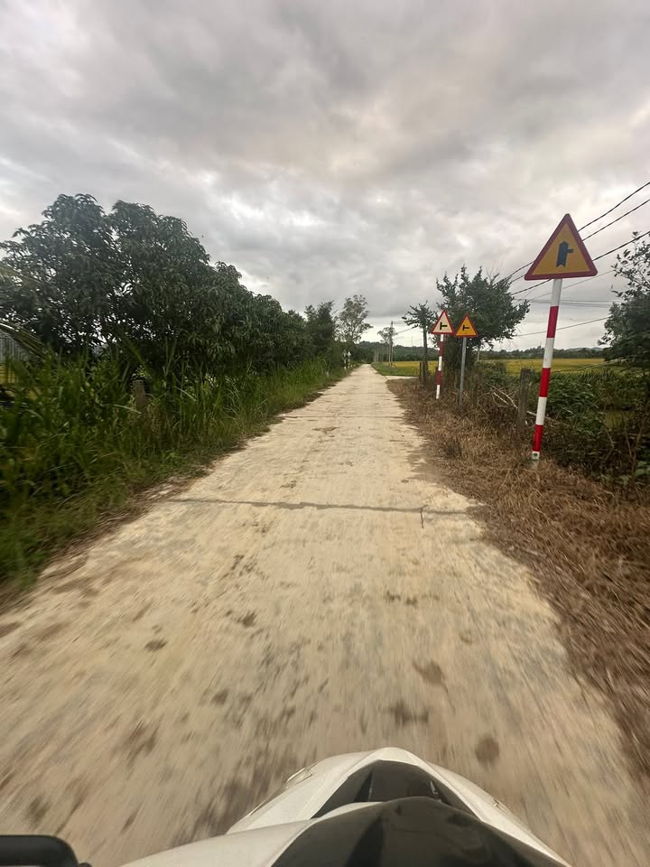 Đất Farm 10.5 hecta tại Ninh Hòa, Khánh Hòa - Giá 15.75 tỷ, Thương lượng ngay!