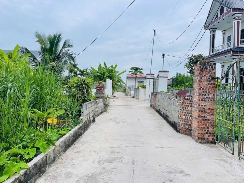 Đất nền Đoan Xá 130m² giá thỏa thuận - Ô tô vào tận nơi!