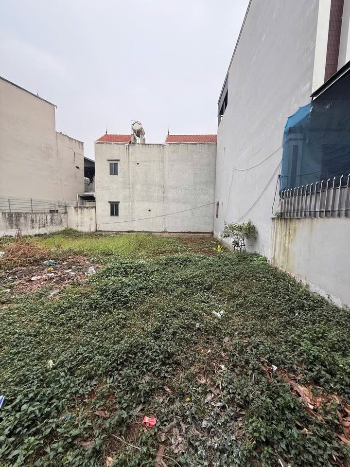 Đất nền Liễu Ngoại - Thường Tín 101m² giá 6 tỷ - Đường ô tô vào tận nơi!