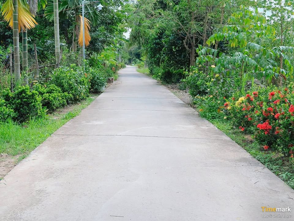 Đất nền 1100m² mặt tiền đường Nguyễn Trung Trực, Ngã Bảy - Giá chỉ 1.4 tỷ