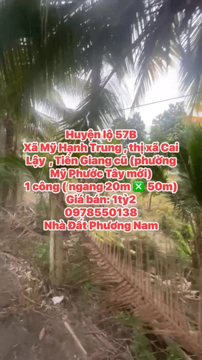 Đất nền 2000m² tại phường Mỹ Phước Tây, Cai Lậy chỉ 1.2 tỷ - Cơ hội đầu tư tuyệt vời!