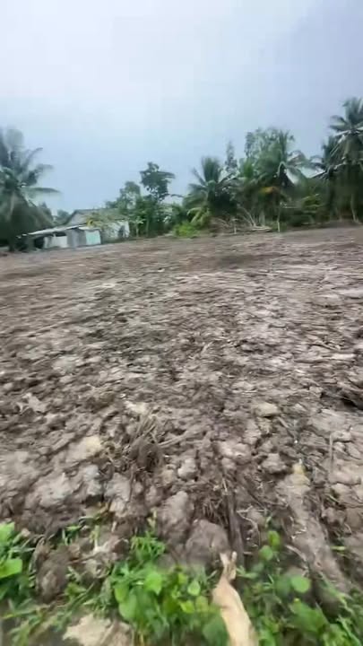 Đất nền Ngãi Tứ, Vĩnh Long 300m² giá 200 triệu - Đầu tư sinh lời ngay!