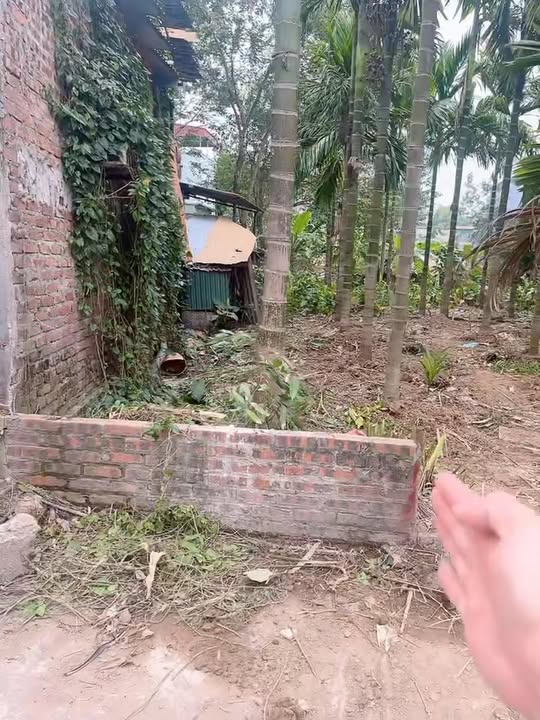 Đất nền Ngũ Kiên Vĩnh Tường 94.5m² giá 1.65 tỷ - Hàng hiếm, vị trí đẹp!