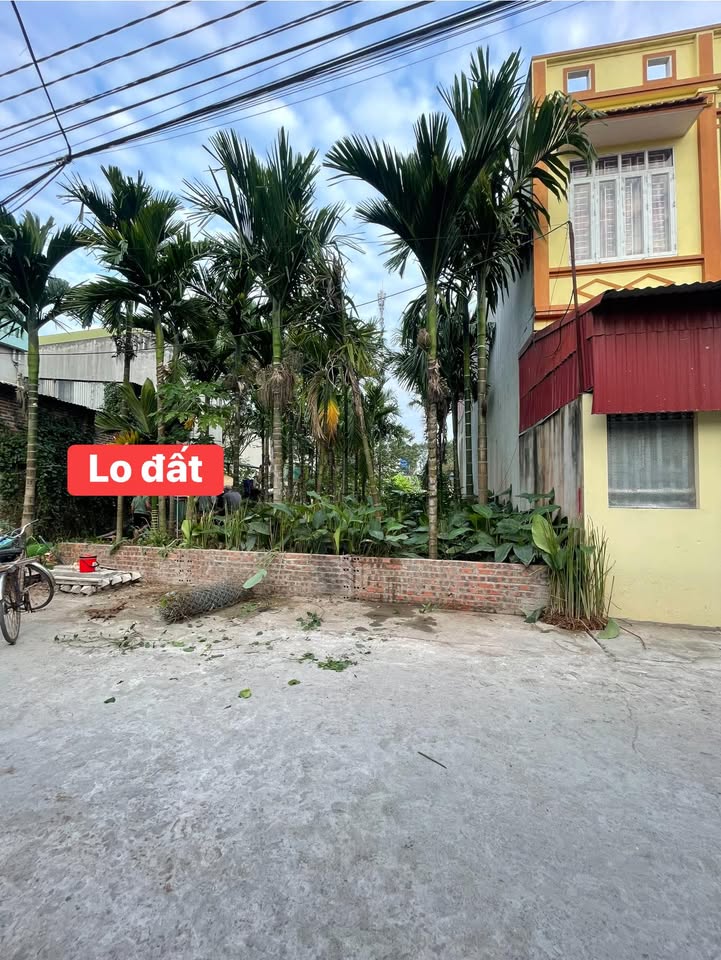 Đất nền Ngũ Kiên, Vĩnh Tường 94.5m² giá 1.65 tỷ - Đầu tư sinh lời ngay!