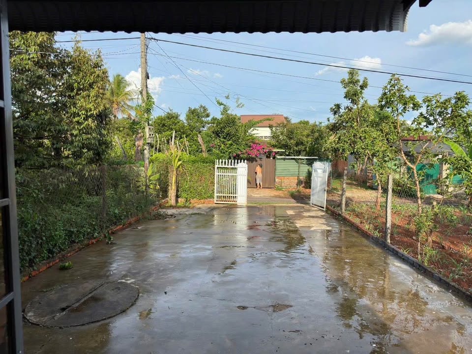 Đất nền Cư Suê 216m² giá 620 triệu - Tiềm năng tăng giá cao!